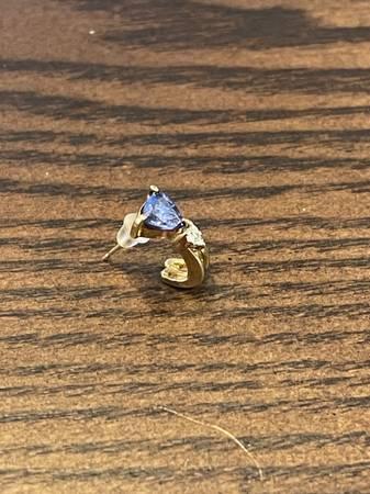 Lost earring (Oak lawn)