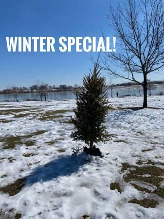 Professional Photography Services (Round Rock)