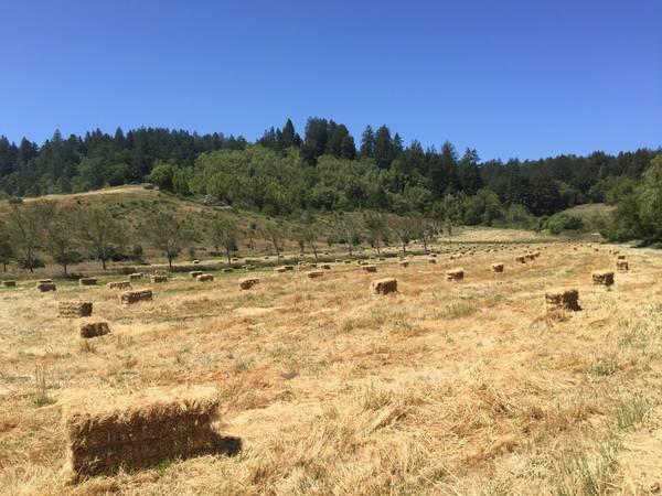 $2,600,000 Pastoral Valleys to Majestic Redwoods! (sebastopol)