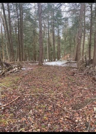 Land and off grid bus for sale (Binghamton)