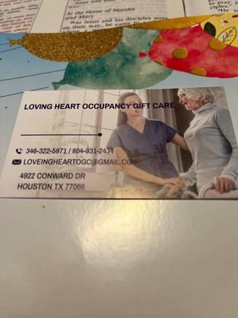 Private home care services (Houston)