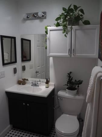 $850 Bright, Naturally Lit Home with Room for Rent (South Austin)