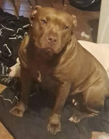 Red Pit (Angel Fire Dr.)