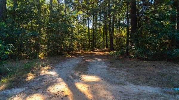 Near Lake Cypress Springs! No Restrictions, Perfect