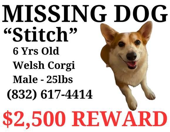 Lost Corgi (Spring Meadow Dr)