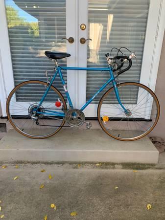 VINTAGE 1970'S TAKARA10-SPEED ROAD BIKE - $325 (los gatos)