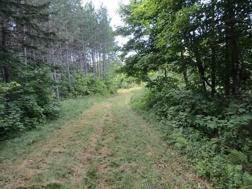 109 acres for sale in Northern Maine