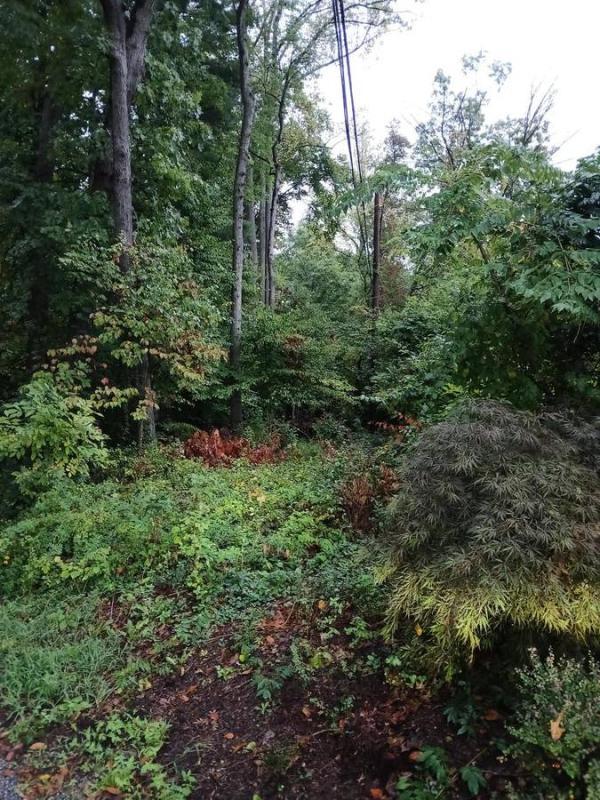 $275,000 Land For Sale... (KIngsville Md)