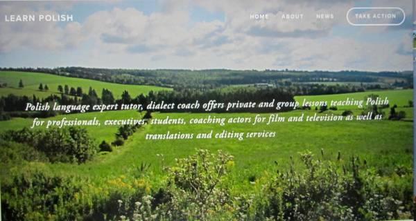 Polish language classes, experienced teacher