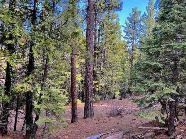 $7,650 0.97 Acre in Modoc County (Alturas, CA)
