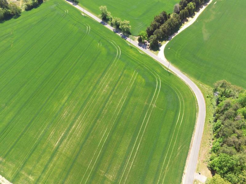 $42,000 4 acre building lot! (Burgess)