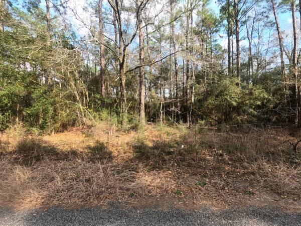 $44,900 / 10000ft2 - Prime 10,000 Sqft Commercial Lot (Continental Plaza)