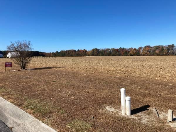 Equestrian Lot For Sale (Hebron)