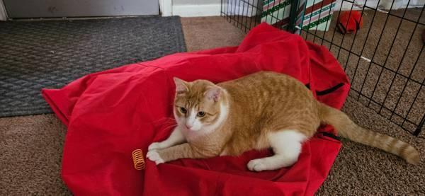 Home for Riley (Leander)