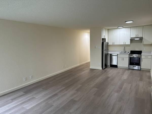 $2,595 / 450ft2 - Spacious remodeled studio, dishwasher, laundry, huge yard-un/furnished