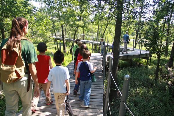 Summer Camp - Legs Legs Legs