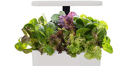 AeroGarden Harvest 2.0 Indoor Hydroponic System with LED - Grow Fresh Herbs & Vegetables at Home
