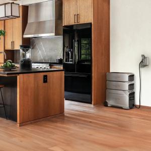 Buy EcoFlow DELTA Max Smart Extra Battery – EcoFlow Costco Next - $3499.99