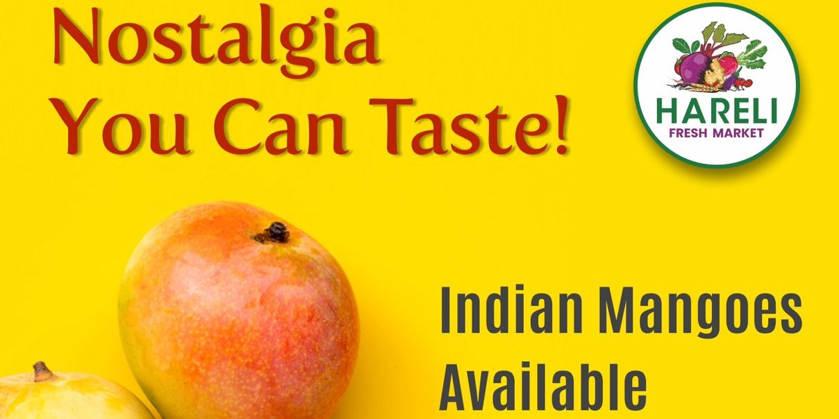 HARELI FRESH MARKET - Indian Mangoes Available: Alphonso, Kesar, Totapuri