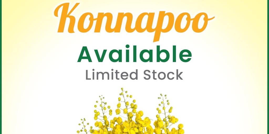 Hareli Fresh Market - Konnapoo Available in Limited Stock