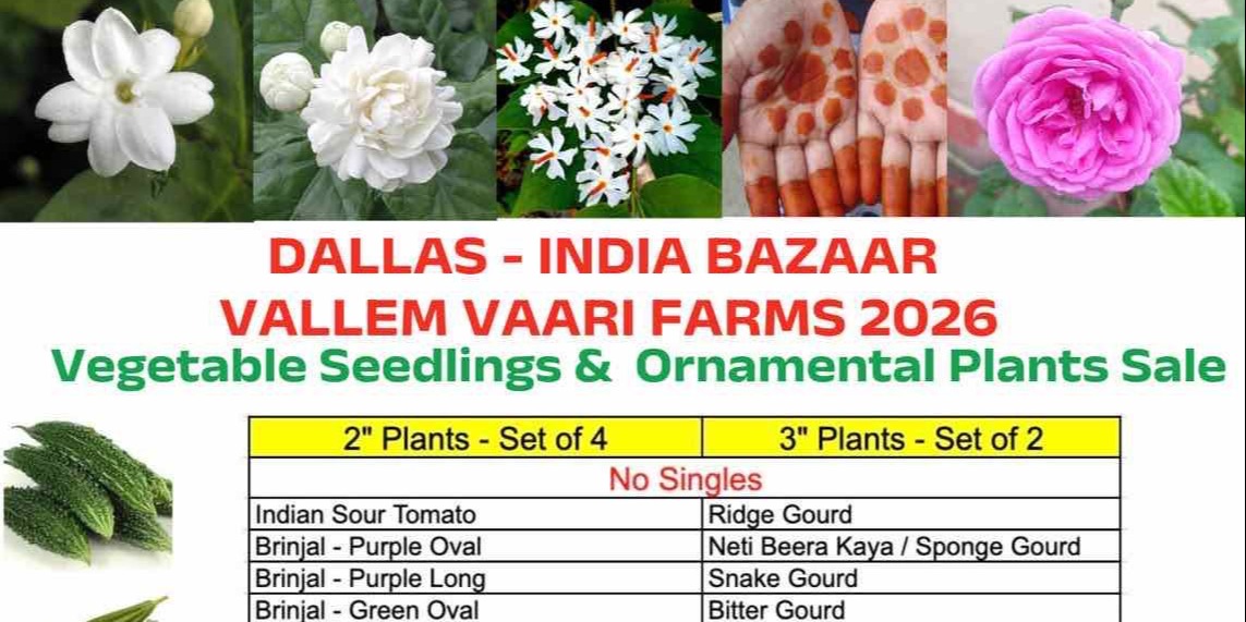Vallem Vaari Farms 2026 Vegetable Seedlings & Ornamental Plants Sale in Dallas