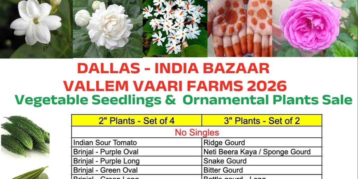 India Bazaar  Vallem Vaari Farms 2026 Plant Sale in Dallas – Vegetable Seedlings & Ornamental Plants