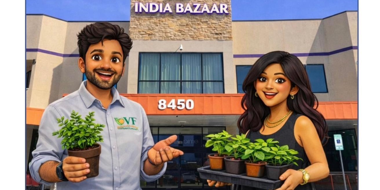 India Bazaar Vallem Vaari Farms 2026 Plant Sale in Dallas – Vegetable Seedlings & Ornamental Plants
