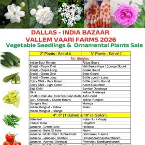 India Bazaar: Vallem Vaari Farms 2026 Plant Sale in Dallas – Vegetable Seedlings & Ornamental Plants