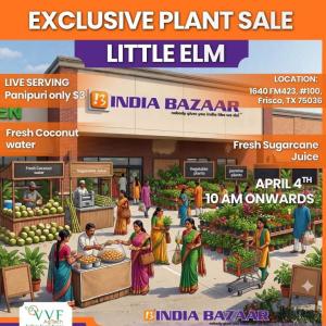 Vallem Vaari Farms 2026: Vegetable Seedlings & Ornamental Plants Sale in Dallas