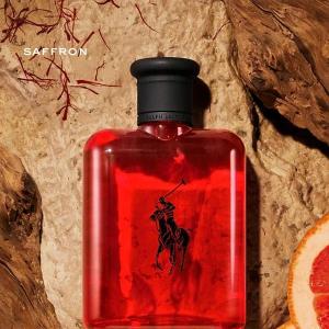 2-Piece Ralph Lauren Men's World of Polo Eau de Toilette Gift Set $25.50 + Free Shipping