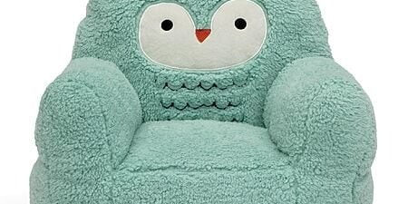Delta Children Cozee Buddy Chair Deal – Teal Owl & Koala Plush Toddler Chair from $19