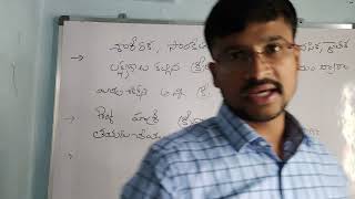 sports training definition class