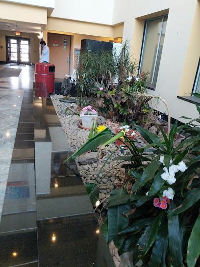 Avtech Institute of Technology: Premier IT Training in South Plainfield, NJ