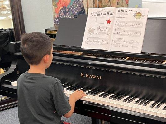 MindaMusic School & Harp Gallery Top Harp Lessons in Garland, TX