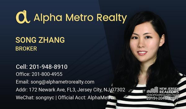 Alpha Metro Realty - Jersey City's Premier Real Estate Agency
