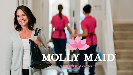 Top-rated Professional House Cleaning Services in Woodbridge, Edison, and Rahway, NJ by MOLLY MAID