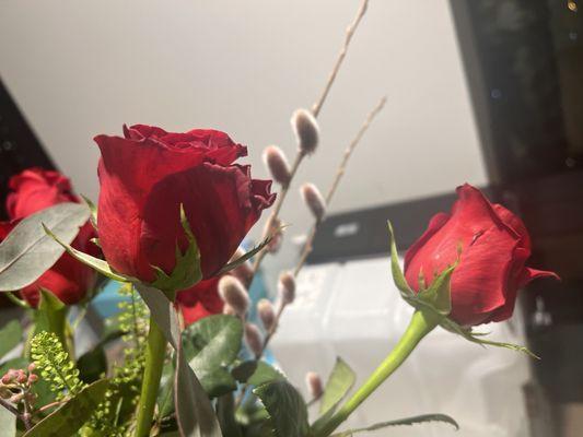 Best Florist in Jersey City, NJ - Noah's Ark Florist