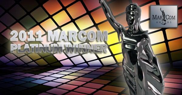 Top Rated Web Design and Development Agency in New York City - Dzine It