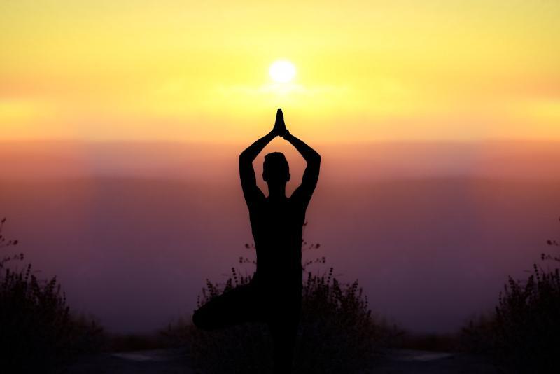 Yoga Classes for Therapy and Wellness in Belmont, CA