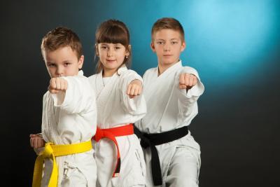 Shuko-Kai Karate Academy in Plano, TX - Martial Arts Classes for All Ages
