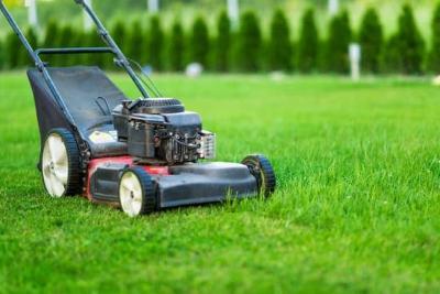 Affordable Lawn Care Service in Cedar Park, TX