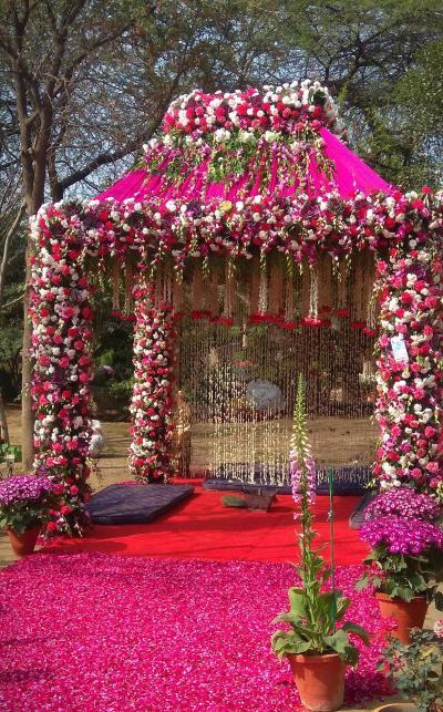 Mandap Creations Houston's Premier Mandap Decor Company