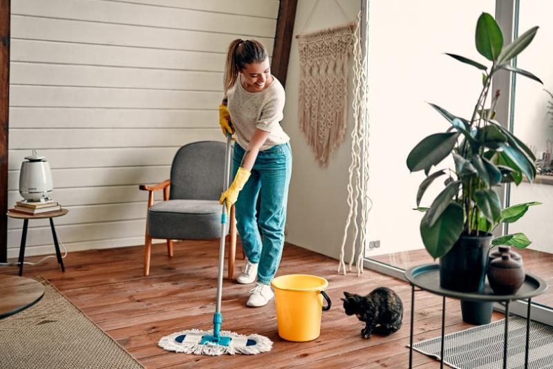 Professional Cleaning, Ironing, and Errand Services in Sacramento and Solano County