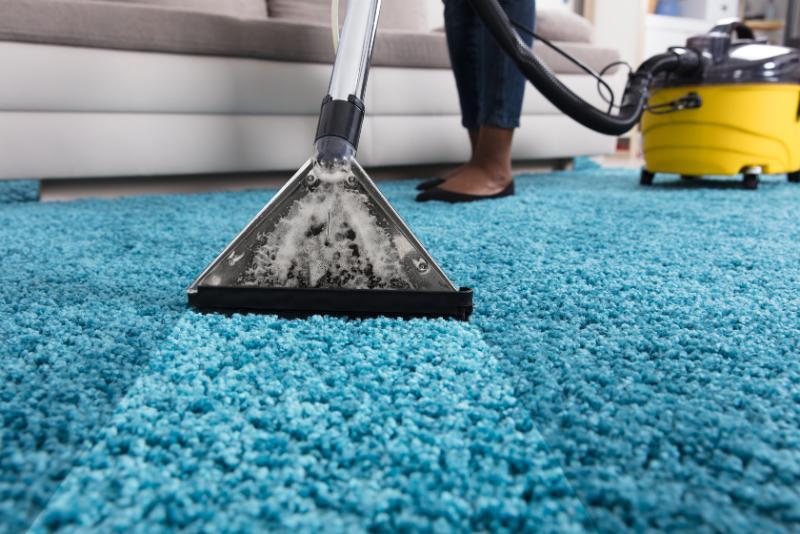 Top Rated DC Carpet Cleaning Service in Washington, DC