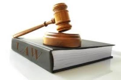 Semira Nikou  Expert in International Economic Regulation & Trade Policy in Washington,DC