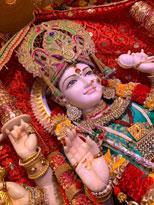 Pandit Krishna K Pandey Acharya Ji - Award Winning Religious Leader in Sunnyvale, CA