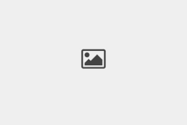 user name & email updated check