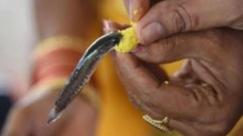 Fish Prasadam Distribution Starts June 8 at Hyderabad Exhibition Grounds