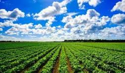 Culture and Agriculture Nature and Significance Understanding