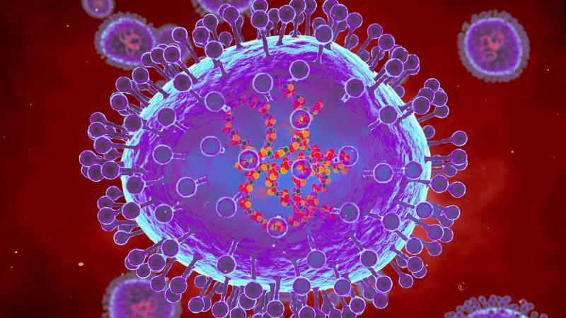 Human Metapneumovirus (HMPV) A Respiratory Threat Similar to COVID-19